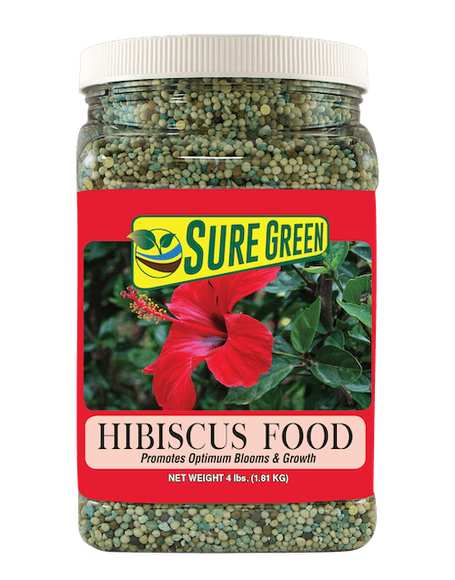Hibiscus Food