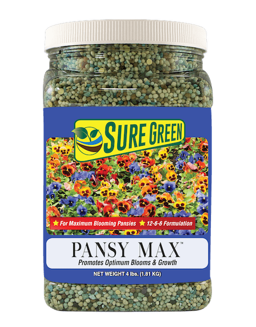 Pansy Max Food
