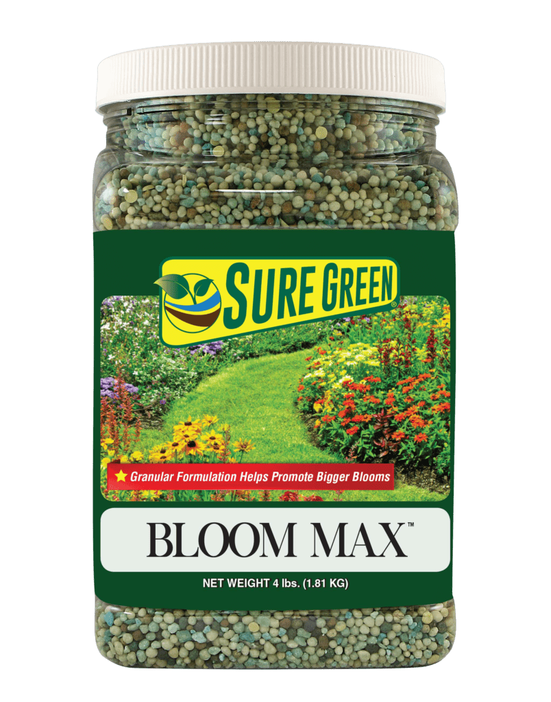 Bloom Max Label